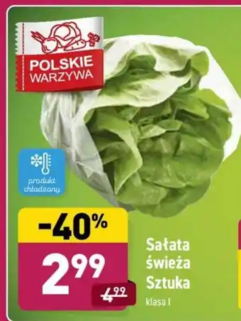 ALDI Sałata świeża 1szt. oferta