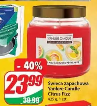 Dino Świeca zapachowa citrus fizz oferta