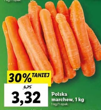 Lidl Marchew oferta