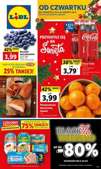 Lidl Borówka amerykańska oferta