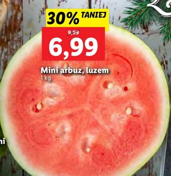 Lidl Arbuz mini oferta