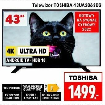 Neopunkt Toshiba Telewizor 43UA2063DG oferta