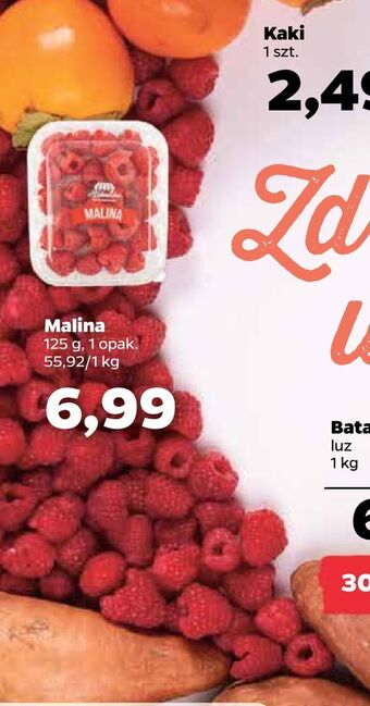 Netto Malina oferta