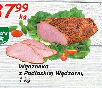 Społem Wędzonka sokołów oferta