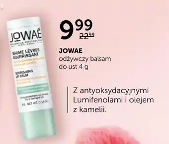 Ziko Dermo Balsam do ust jowae oferta