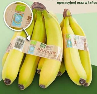 Lidl Banany oferta