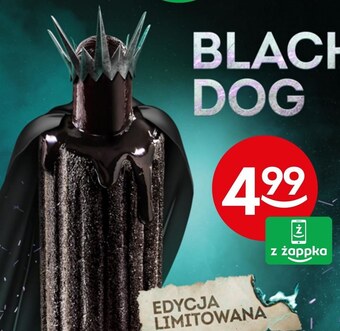 Żabka Hot dog oferta