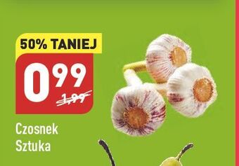 ALDI Czosnek oferta
