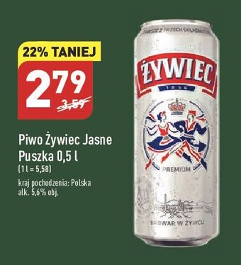Piwo żywiec jasne pełne
