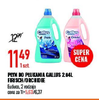 E.Leclerc Płyn do płukania fruhlingsfr gallus oferta