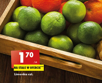Biedronka Limonka szt. oferta