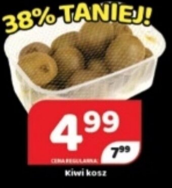 Delfin Kiwi kosz oferta