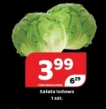 Delfin Sałata lodowa 1szt. oferta