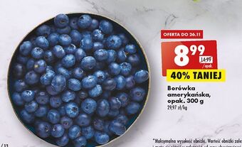 Biedronka Borówki amerykańskie oferta