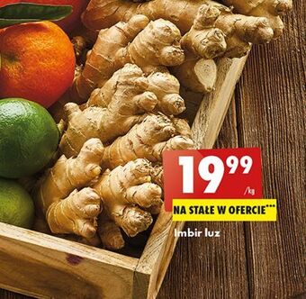 Biedronka Imbir oferta