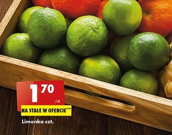 Biedronka Limonka oferta