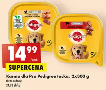 Biedronka Pedigree Karma dla Psa tacka 2 x 300 g różne rodzaje oferta