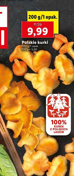 Lidl Polskie kurki 200g oferta