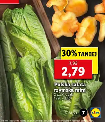 Polska sałata rzymska 2szt.