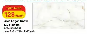 Castorama Gres Logan Snow 120 x 60 cm oferta