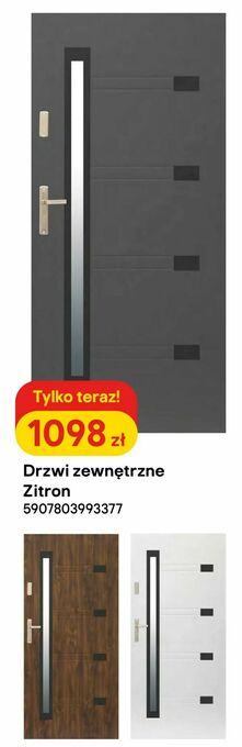 Castorama Drzwi zewnętrzne Zitron oferta