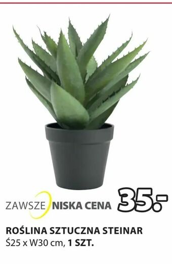 JYSK Roślina sztuczna steinar oferta