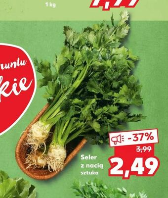 Kaufland Seler z nacią oferta