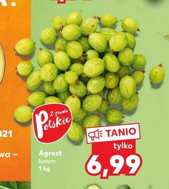Kaufland Agrest oferta