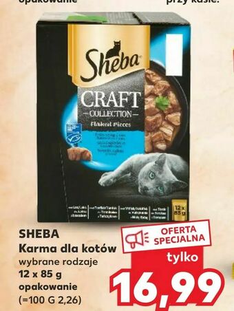 Kaufland SHEBA Karma dla kotów oferta