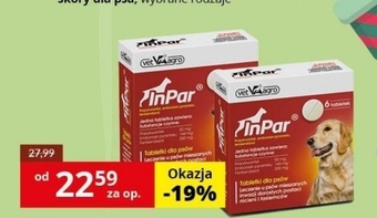 Kakadu Środek odrobaczający dla psa inpar oferta
