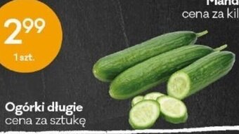 Groszek Ogórki długie 1szt. oferta
