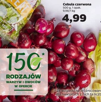 Netto Cebula czerwona oferta