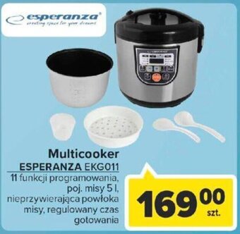 Carrefour Esperanza Multicooker EKG011 oferta