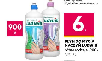Dealz Balsam do naczyń aloesowy ludwik oferta