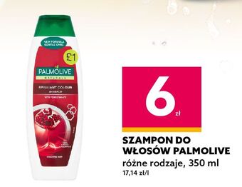 Szampon do włosów brilliant color palmolive naturals