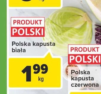 Carrefour Kapusta biała oferta
