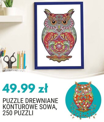 Biedronka Puzzle drewniane konturowe sowa 250 puzzli oferta