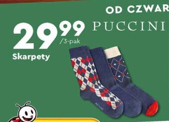 Biedronka Skarpetki puccini oferta