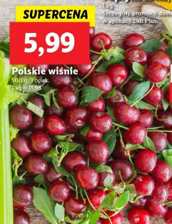 ALDI Wiśnie 1 SZT 500 G oferta