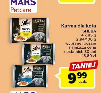 Kaufland Karma dla kota smaki rybne 1 OPAK 4 SZT 85 G oferta