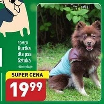 ALDI Kurtka dla psa romeo oferta
