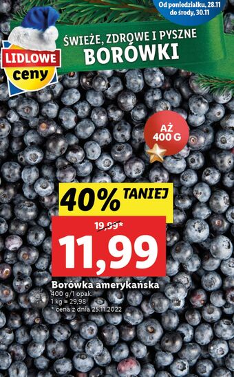 Lidl Borówki amerykańskie oferta