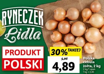 Lidl Cebula żółta oferta
