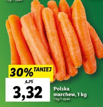 Lidl Marchew oferta