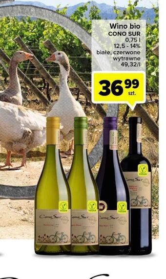 Carrefour Wino cono sur organic sauvignon blanc oferta