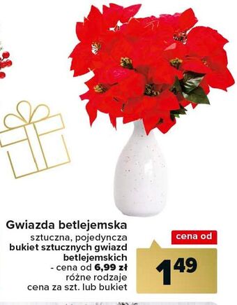 Carrefour Gwiazda betlejemska oferta