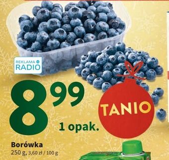 Intermarche Borówka oferta