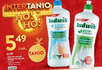 Intermarche Płyn do mycia naczyń miętowy ludwik oferta