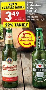 Biedronka Piwo b: original budweiser budvar oferta