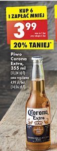 Biedronka Piwo corona extra oferta